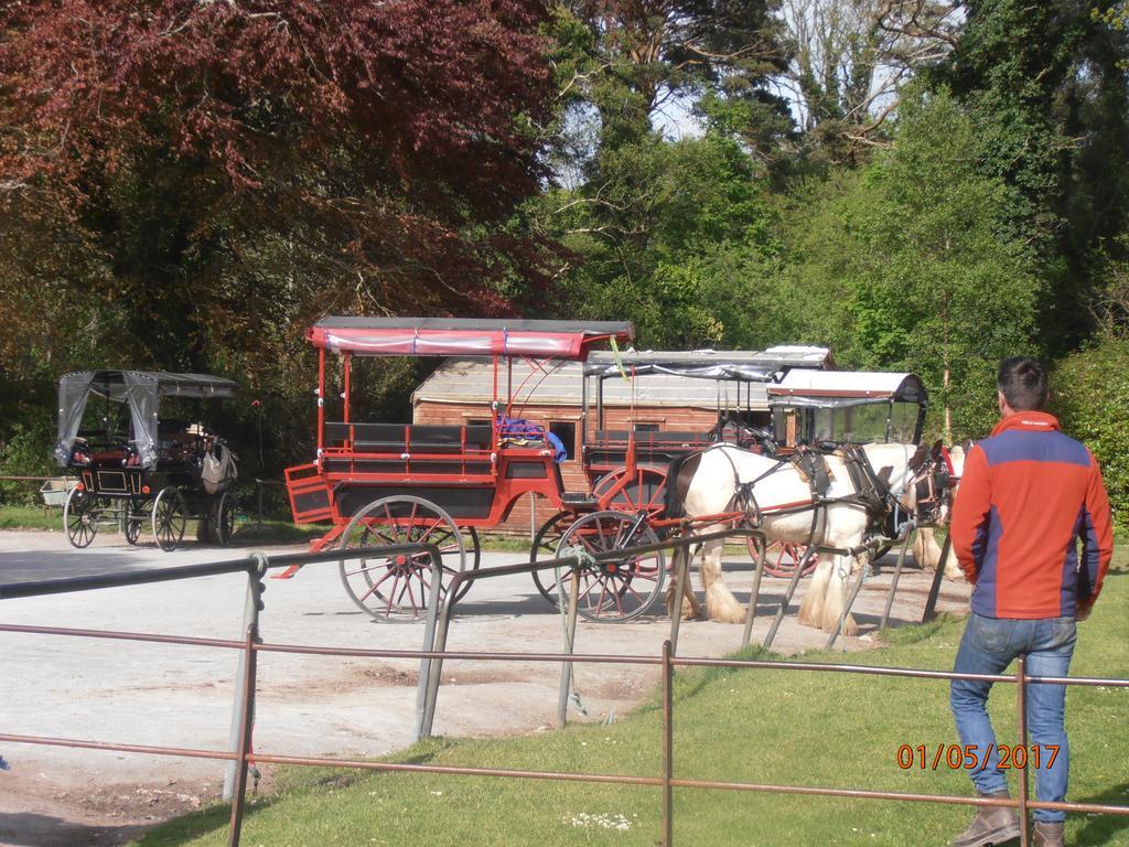 Larkfield House B&B, Ballycasheen Kerry V93 Wd51 Killarney Exterior foto