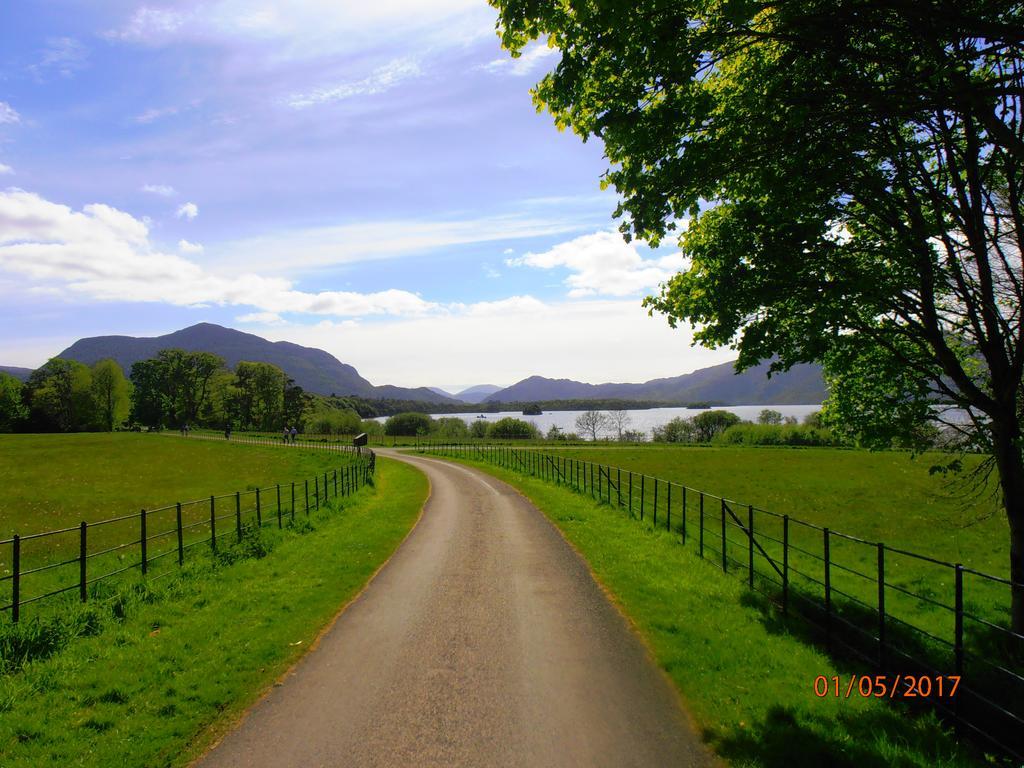 Larkfield House B&B, Ballycasheen Kerry V93 Wd51 Killarney Exterior foto