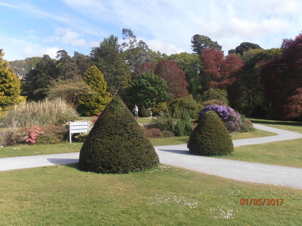 Larkfield House B&B, Ballycasheen Kerry V93 Wd51 Killarney Exterior foto