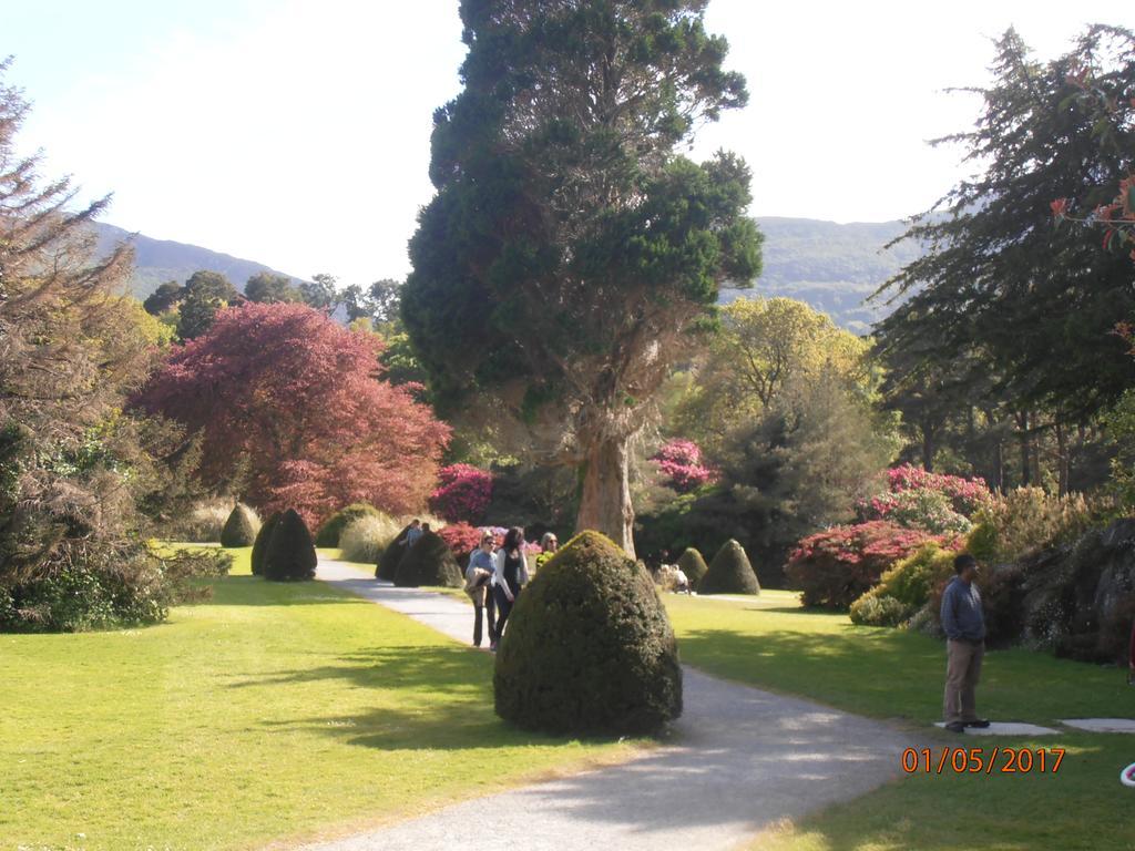 Larkfield House B&B, Ballycasheen Kerry V93 Wd51 Killarney Exterior foto
